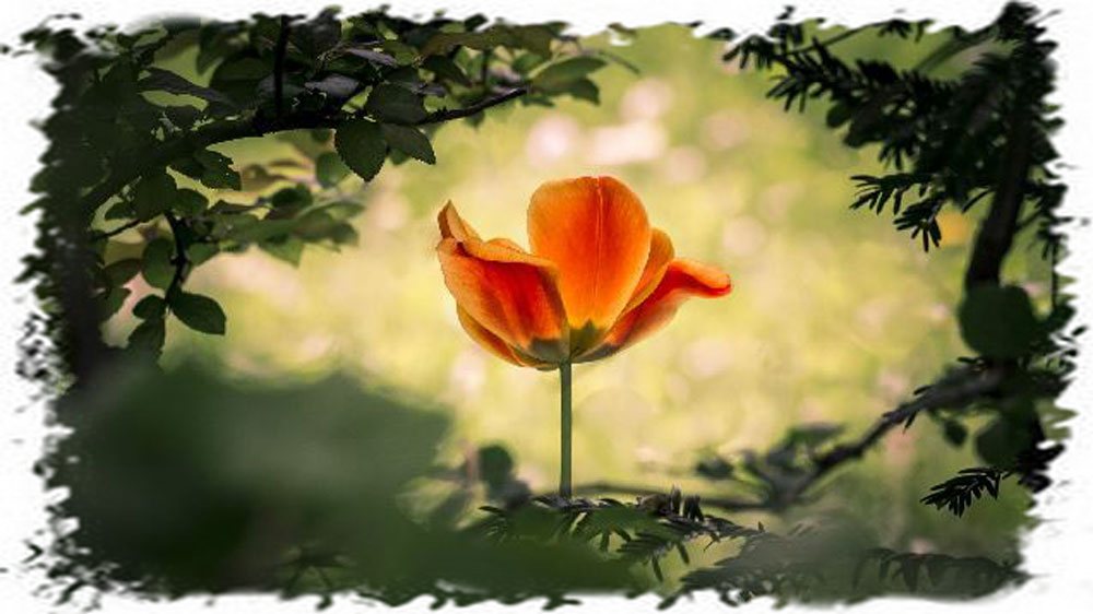 Materialism-In-Spiritual-World
