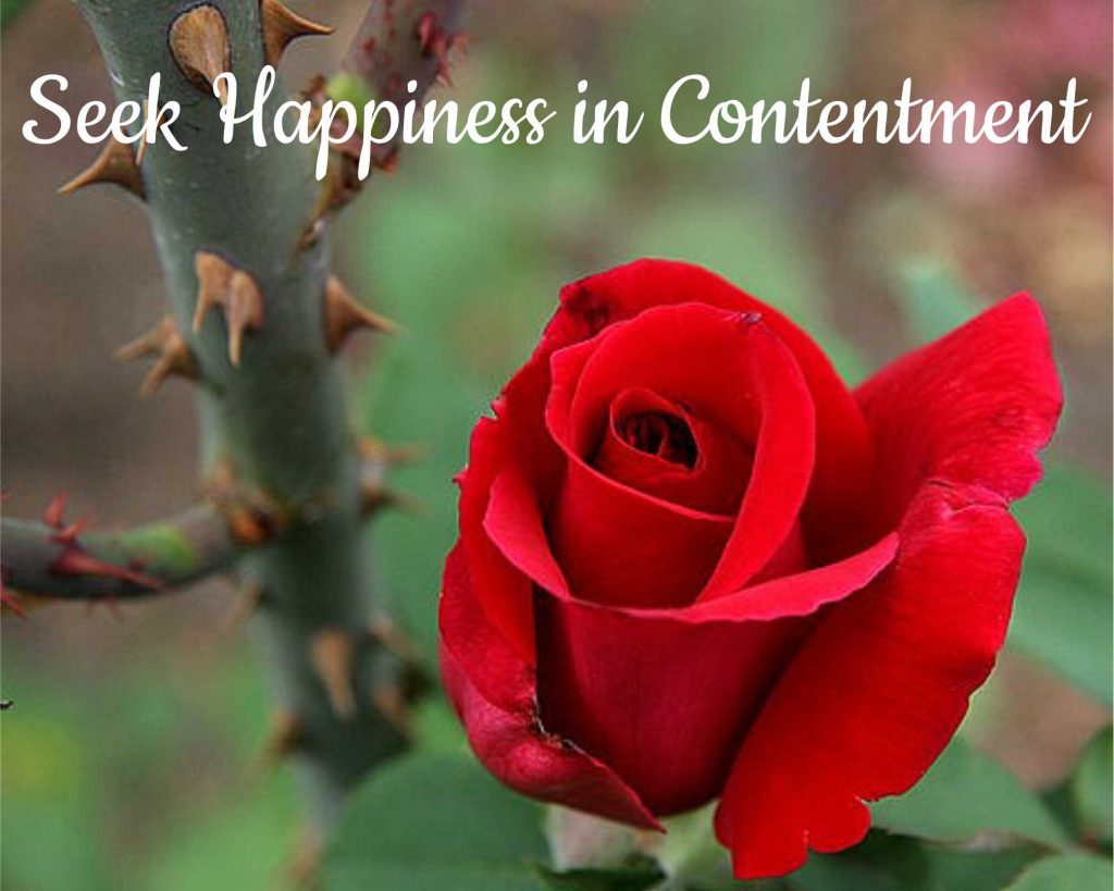Seek Happiness in Contentment